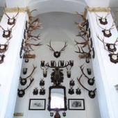 VLASTIVĚDNÉ MUZEUM V ŠUMPERKU: Lovecko - lesnícke muzeum  na zámku v Úsově