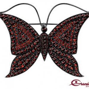 MĚSTO TURNOV: Motýl Granát