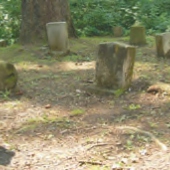 STÁTNÍ ZÁMEK KUNŠTÁT: Psí hřbitov