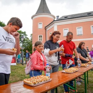 MĚSTSKÝ DŮM KULTURY SOKOLOV: Sokolovský Food festival