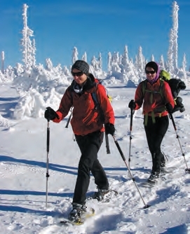 MĚSTO ŽELEZNÁ RUDA: Hřebenovka po hraničním chodníku