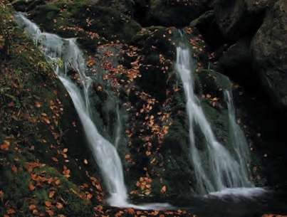 MĚSTO ŽELEZNÁ RUDA: Černý potok