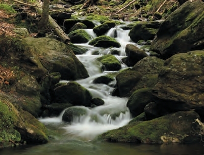 MĚSTO ŽELEZNÁ RUDA: Černý potok