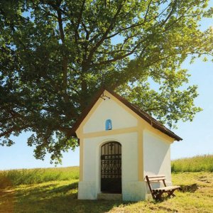 OBEC VERUŠIČKY: Hřívinov - část obce Verušičky